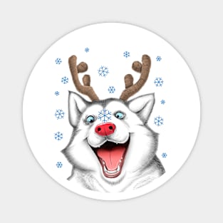 Husky Rudolph Magnet